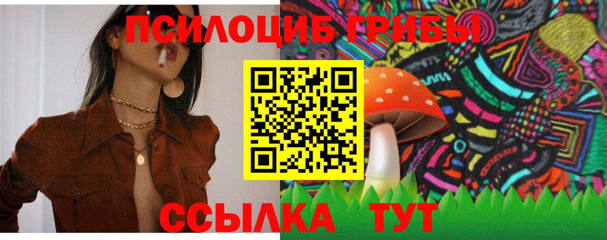 Галлюциногенные грибы прущие грибы  Вход с VPN  Благодарный 