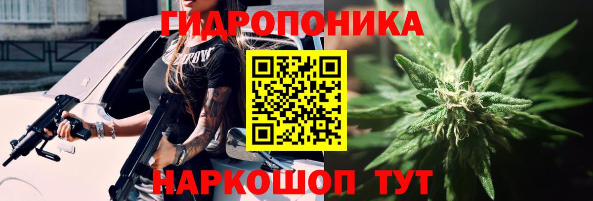 Благодарный  МАРИХУАНА сатива  Вход с VPN  Бошки марихуана марихуана  Канабис тримм 